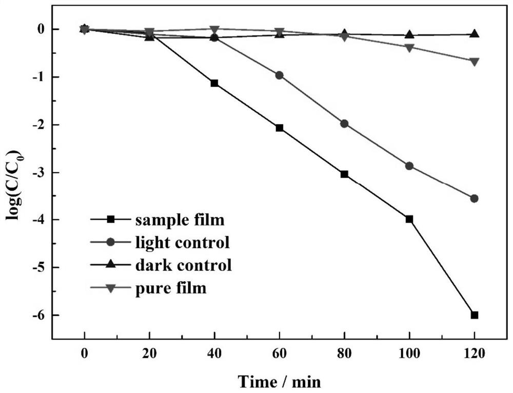 Bactericidal breathable film and its preparation method and application