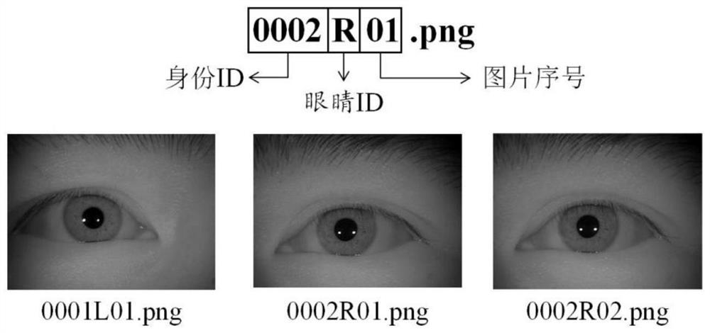 Iris coding method based on novel normalization and deep neural network