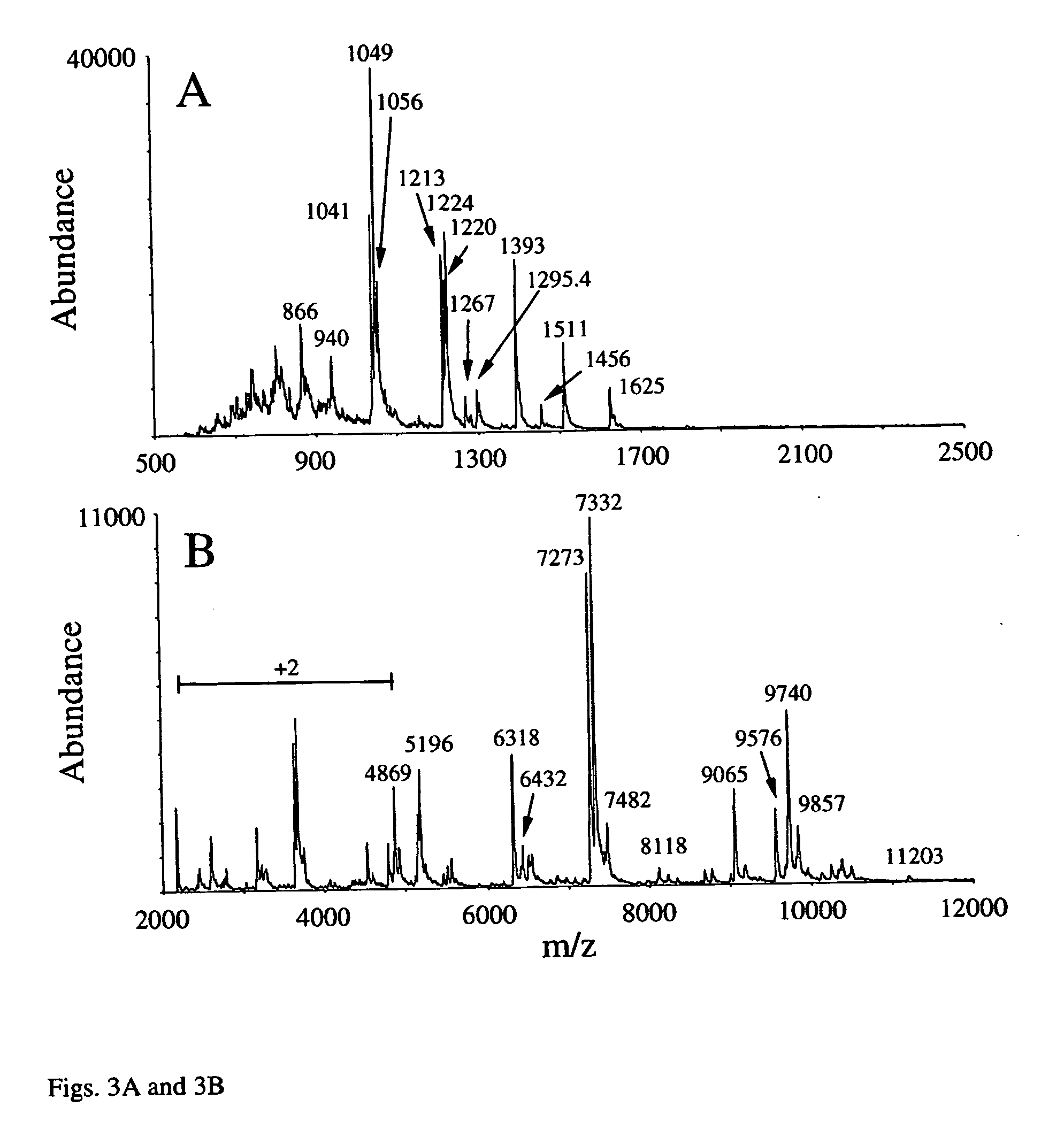 Protein identification from protein product ion spectra
