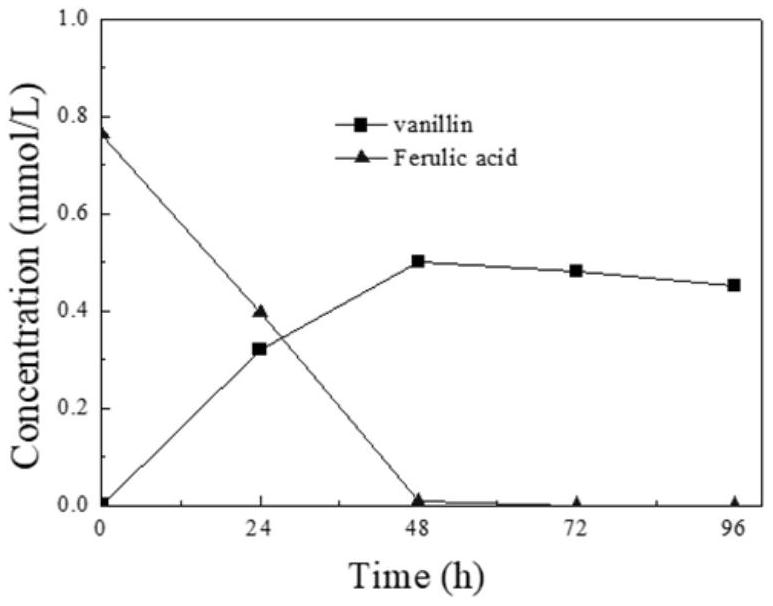 Saccharomyces cerevisiae engineering bacteria and application thereof in preparation of vanillin