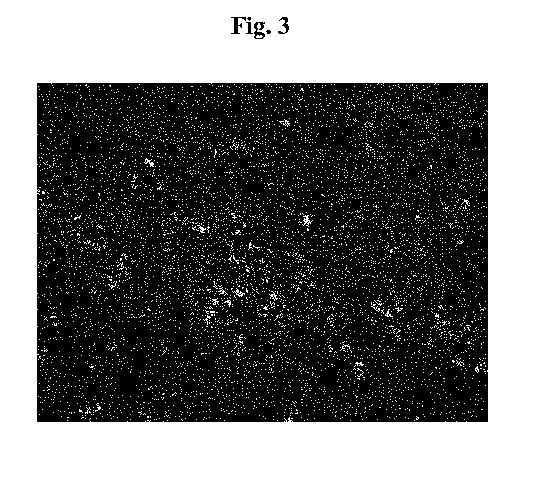 Engineered Three-Dimensional Connective Tissue Constructs and Methods of Making the Same