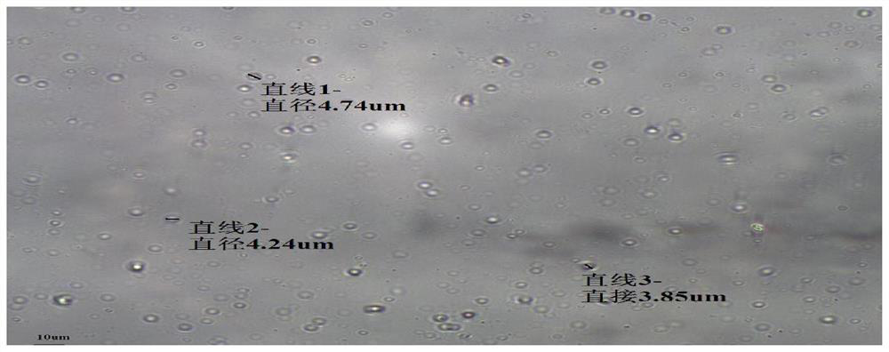 Preparation method for producing cefquinome sulfate injection through combination of emulsification stirring tank and colloid mill