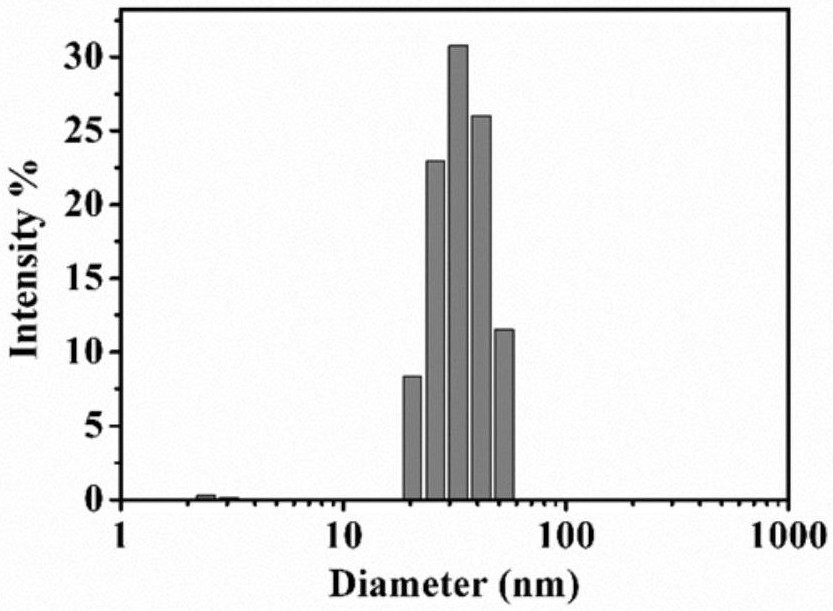 Photosensitizer based on thiadiazolo [3, 4-g] quinoxaline structure as well as synthesis method and application of photosensitizer