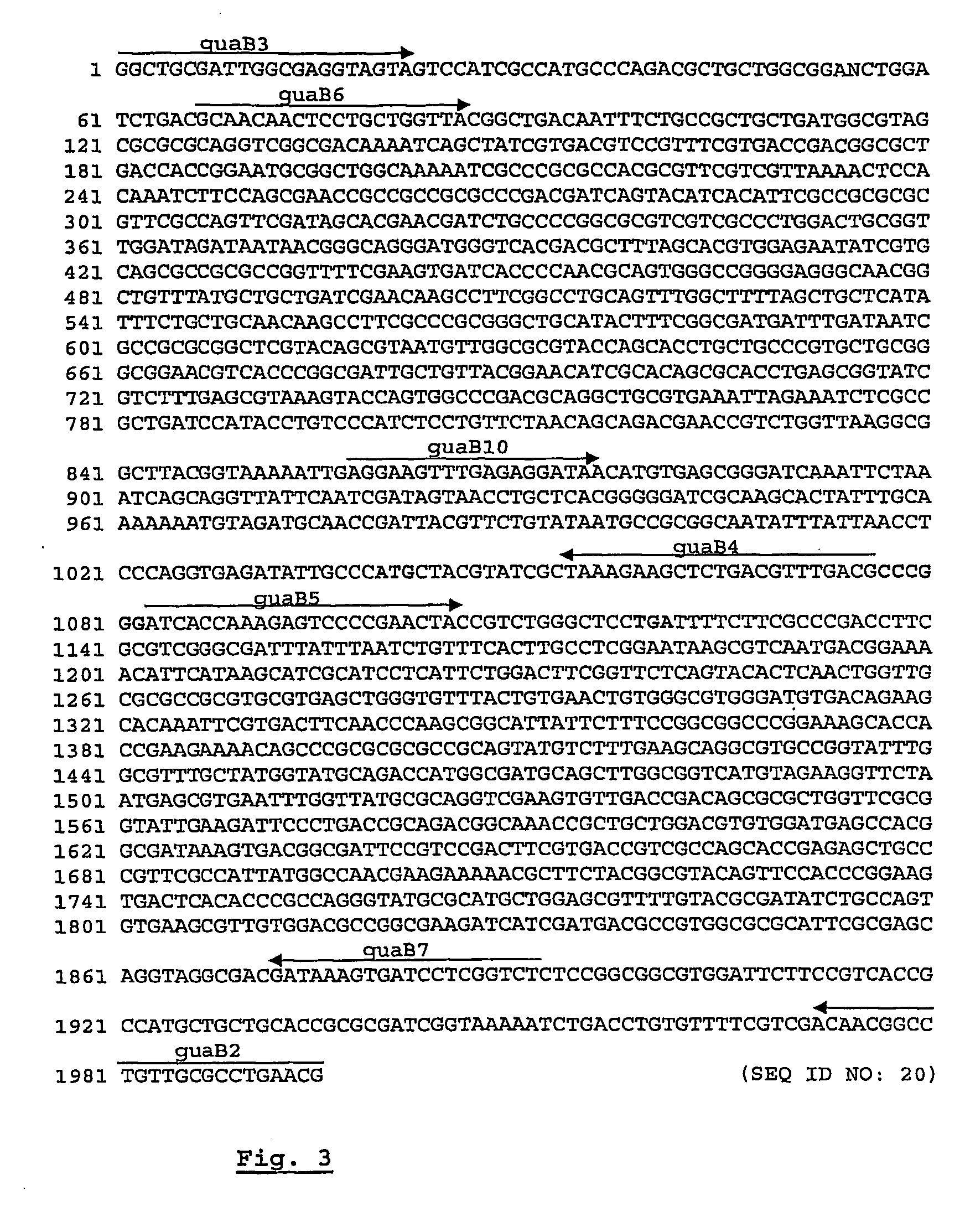 Live attenuated salmonella vaccine