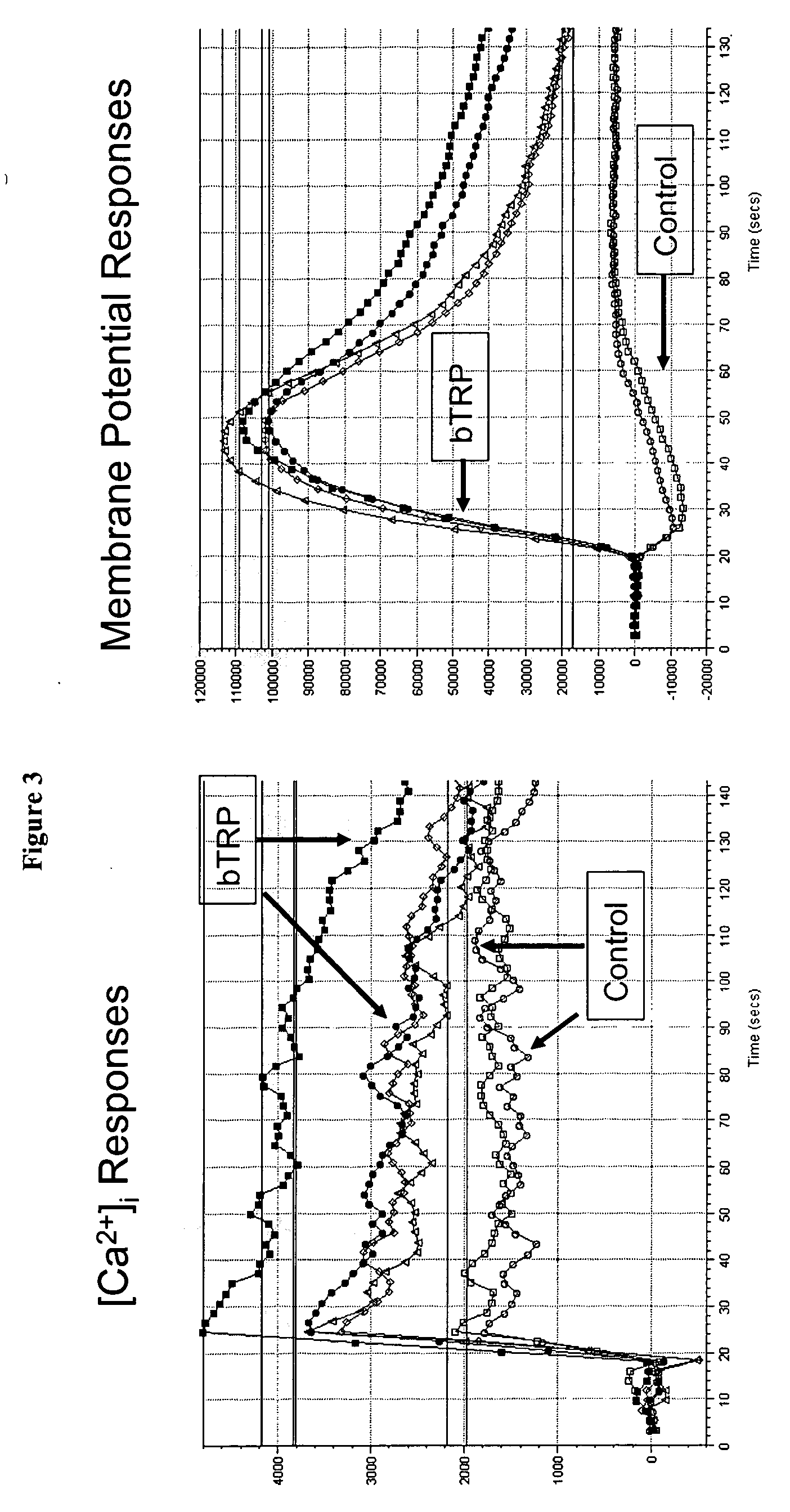 Methods and compositions for treating and diagnosing diabetes and related diseases involving beta-TRP