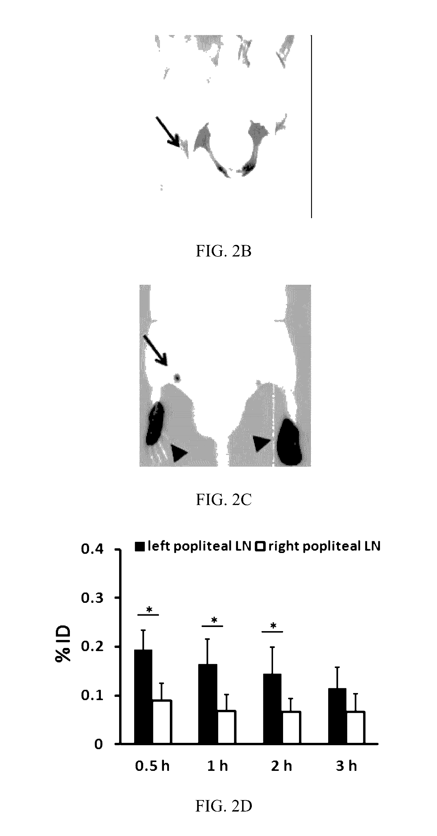 Labeled evans blue dye derivative for in vivo serum albumin labeling