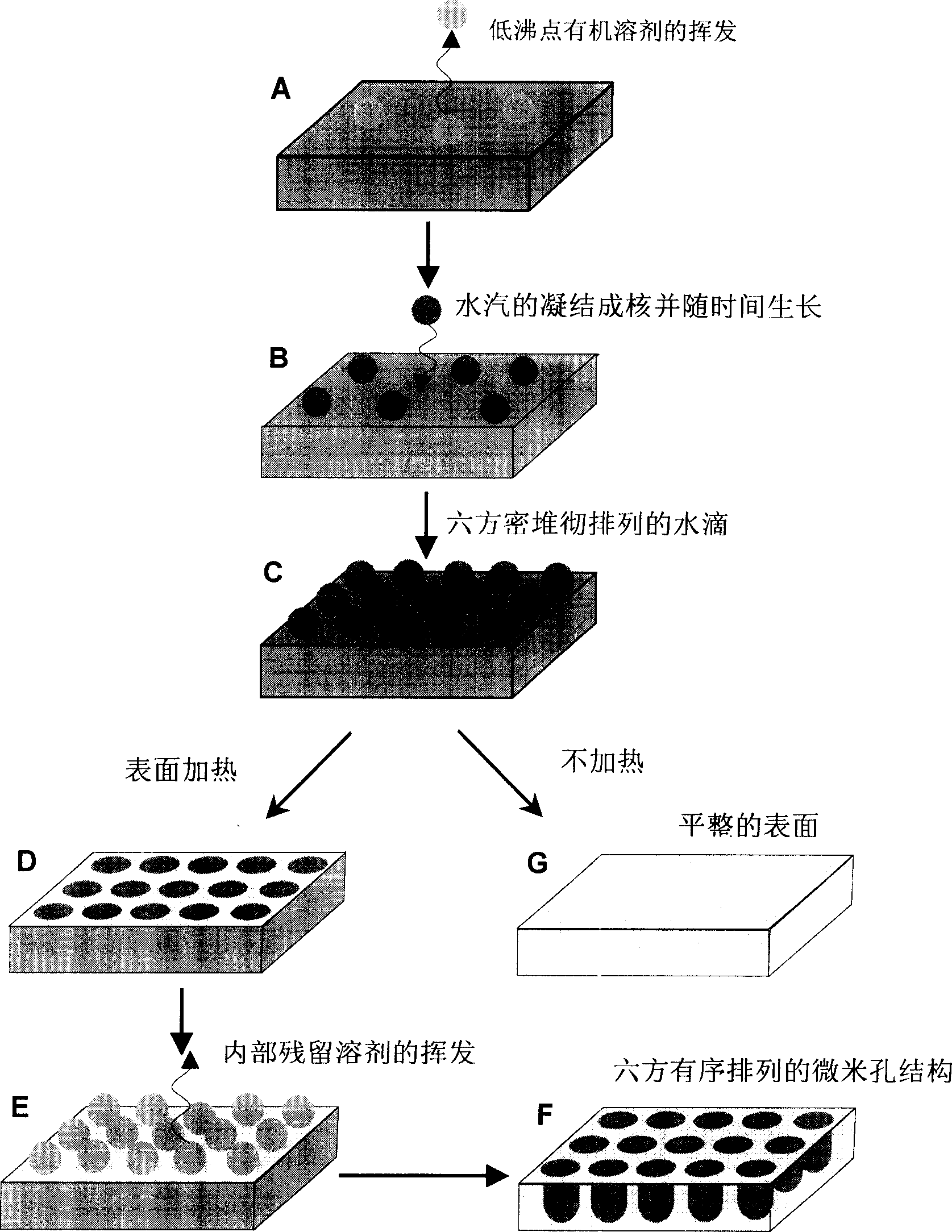 Three-dimensional ordered micron porous polymer membrane and its preparing method