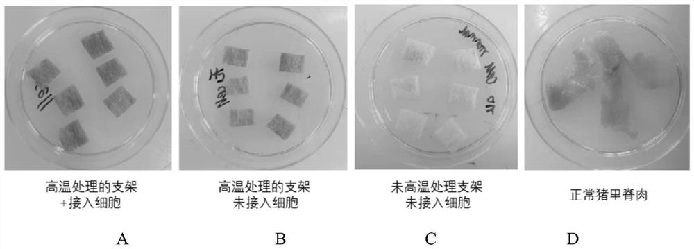 Plant-based cultured meat prepared based on vegetable protein scaffold and preparation method of plant-based cultured meat