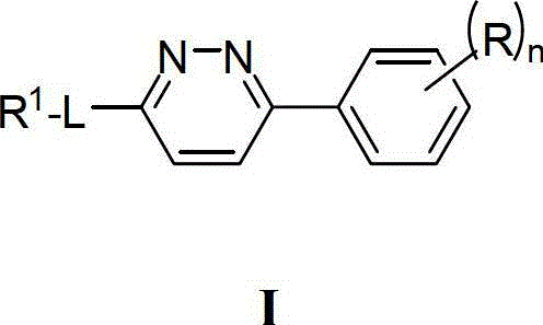 Compounds, compositions and methods comprising pyridazine sulfonamide derivatives