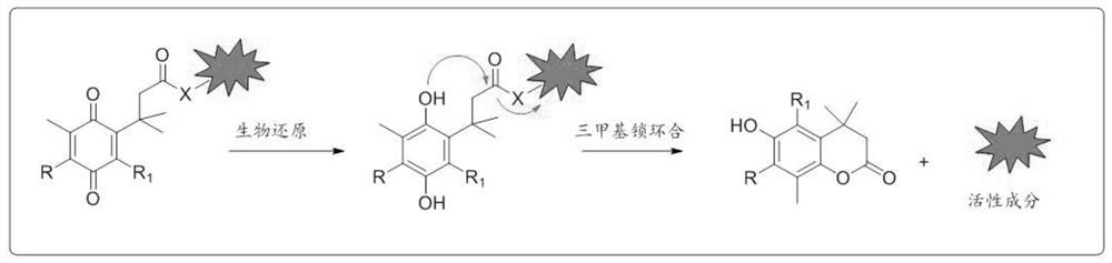 nqo1 activated 6-diazo-5-oxo-l-norleucine prodrug and its preparation method and application