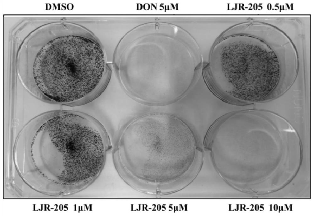 nqo1 activated 6-diazo-5-oxo-l-norleucine prodrug and its preparation method and application