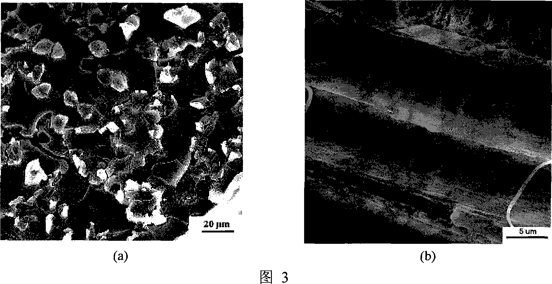 Total-fibroin albumen composite material and preparation method thereof