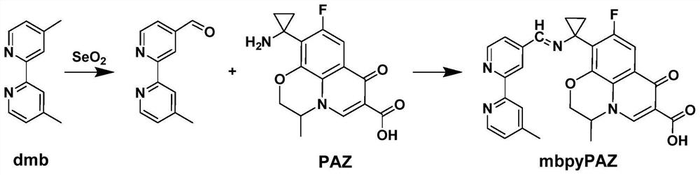 Preparation method and application of pazufloxacin iridium complex