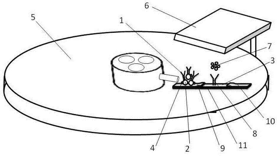 Centrifugation chromatography fluoroimmunoassay detection method and applications thereof