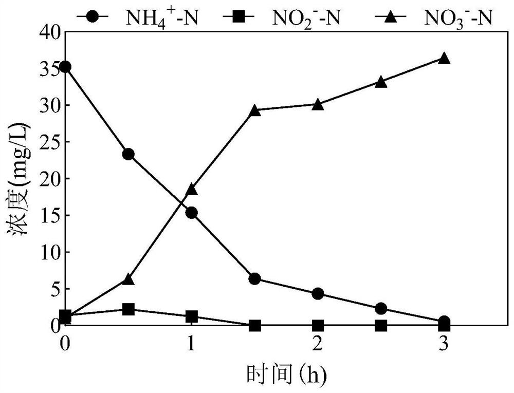 Method for stably providing substrate for anaerobic ammonia oxidation by using bacteriostatic agent