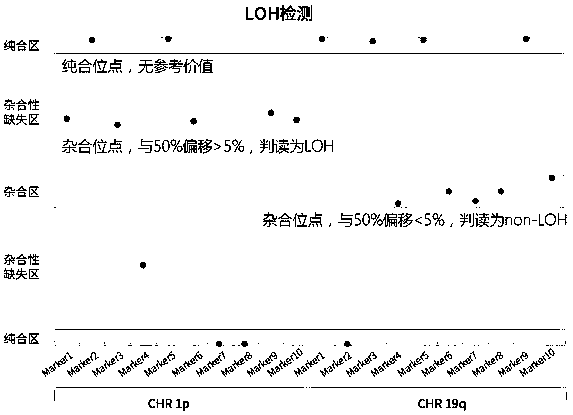 Detection method and kit for detecting 1p/19q combination loss of heterozygosity of chromosome