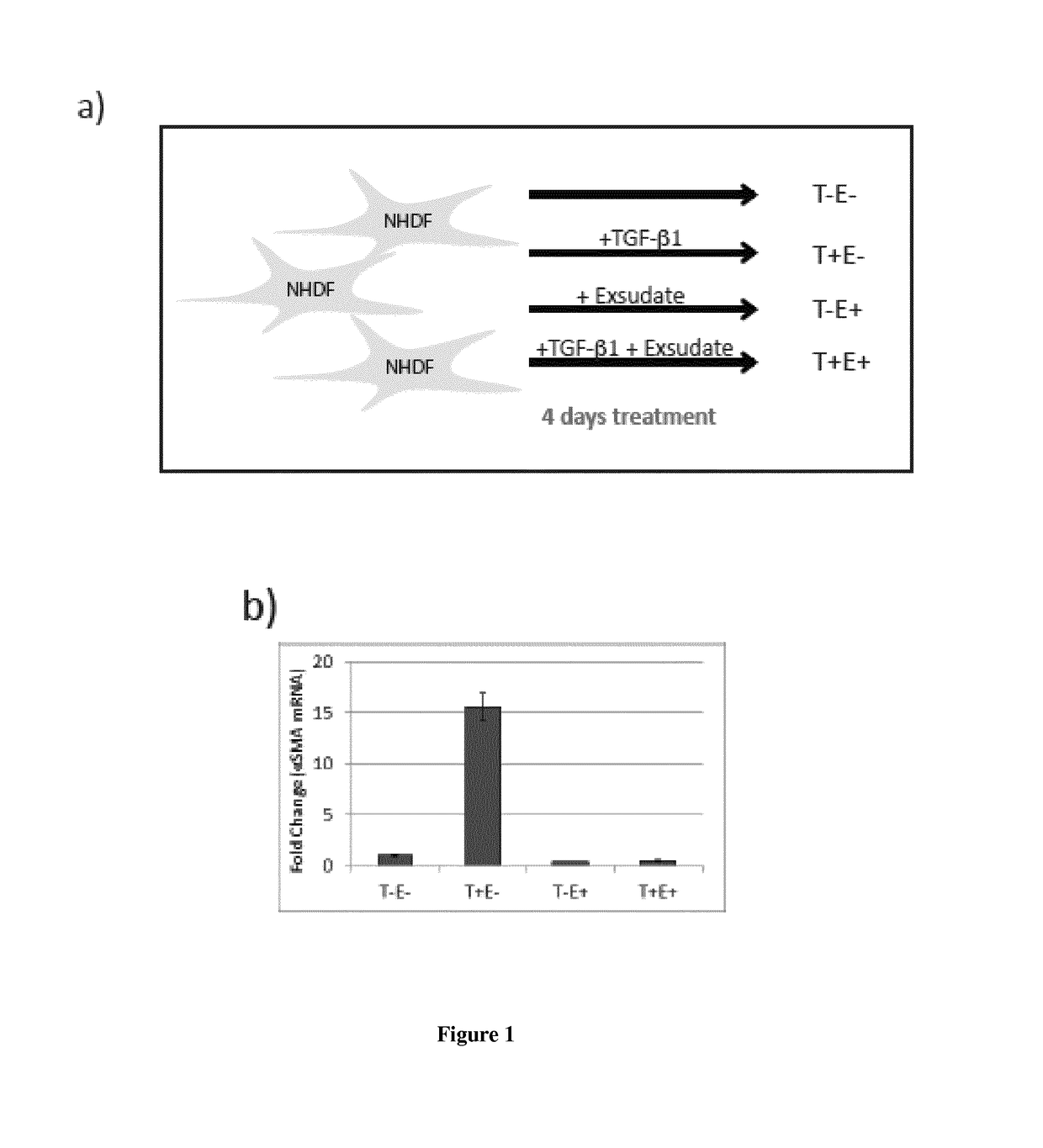 Molecular targets for the treatment of wounds, in particular chronic wounds