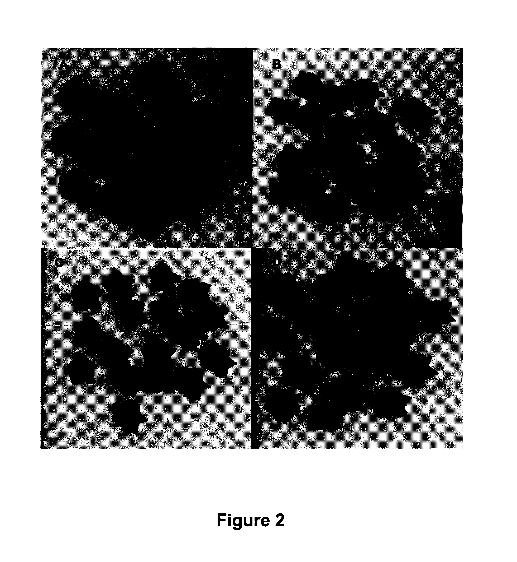 Moldable protein matrix containing fruit, vegetables, chocolate or cocoa, for food applications, and process for its manufacture