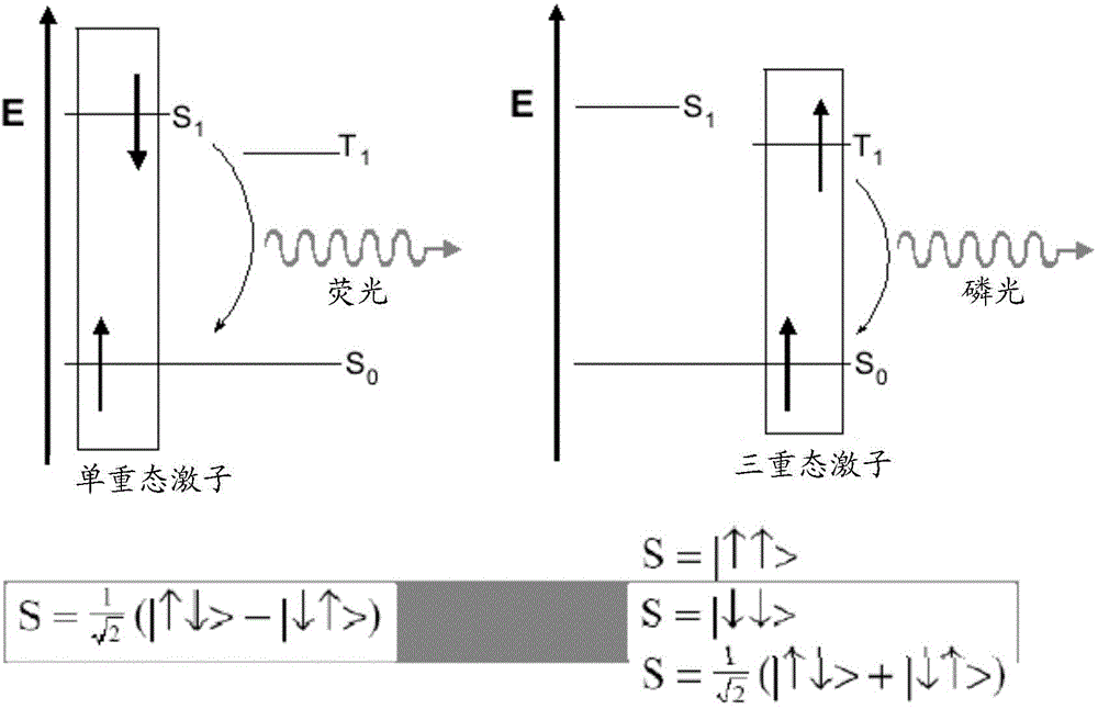 Metal complex as well as preparation method and application thereof and display device