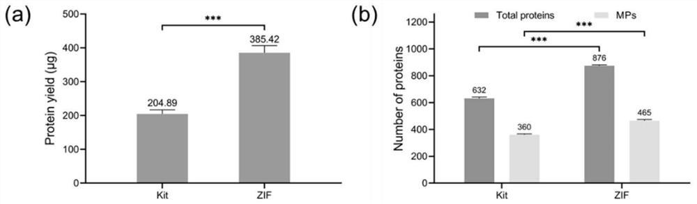 Method for extracting membrane protein and membrane-associated protein based on metal organic framework nano material