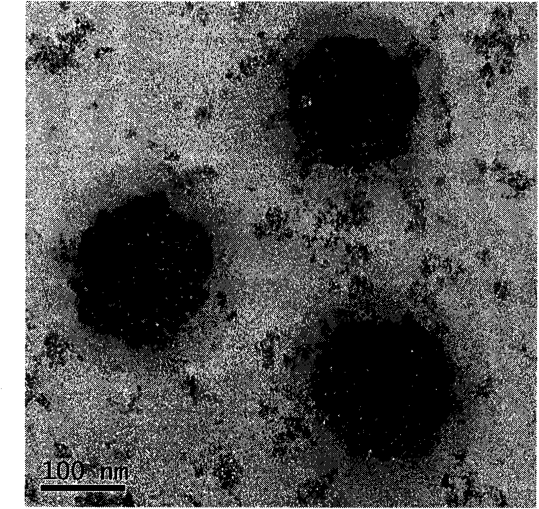 Precipitation-oxidation method for preparing glucan ferroferric oxide magnetic nano particle and application thereof