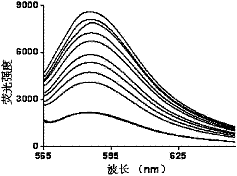 Application of rhodamine B derivative in nitrite ion detection