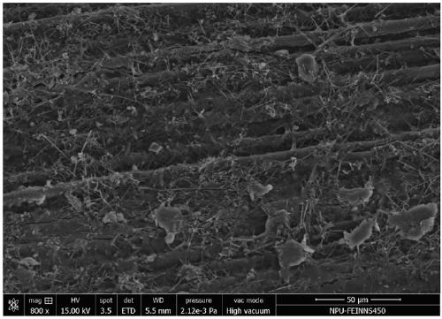 Carbon fiber/nanofiber synergistic high-toughness ceramic matrix composite and preparation method thereof