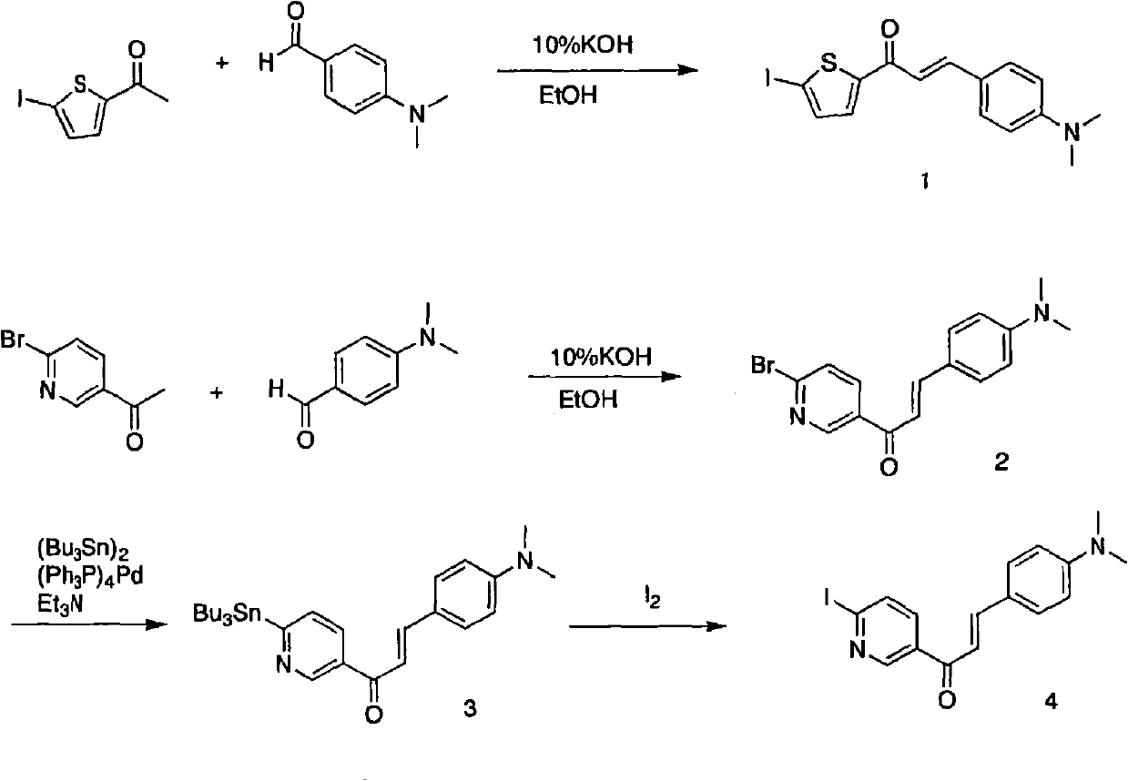 Composition for diagnosing amyloid-related disease