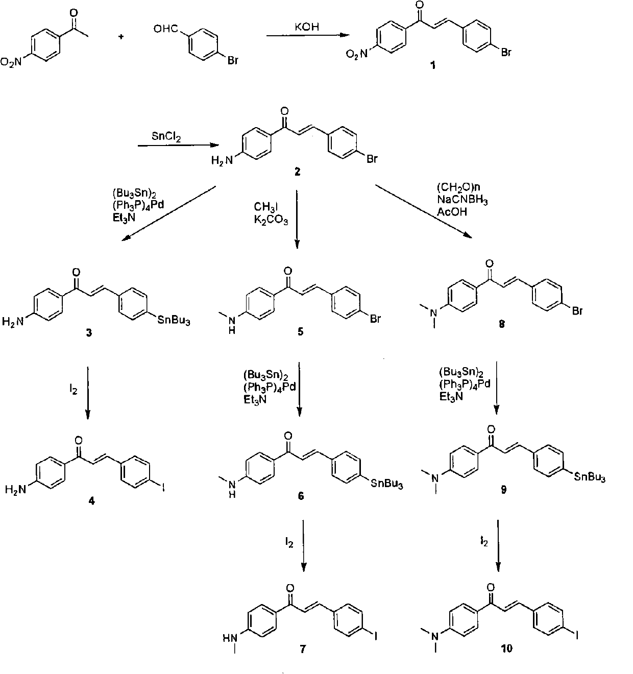 Composition for diagnosing amyloid-related disease