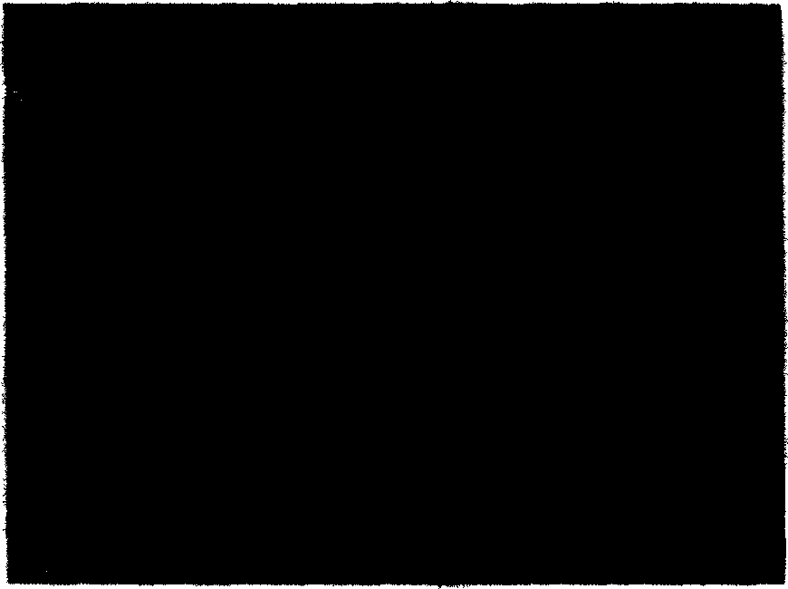 Production for powdery diffused cathode base material containing scandium