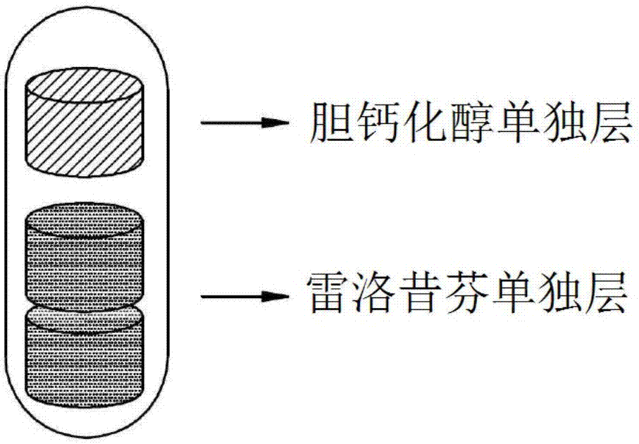 Composite capsules comprising raloxifene, and vitamin D or its derivatives