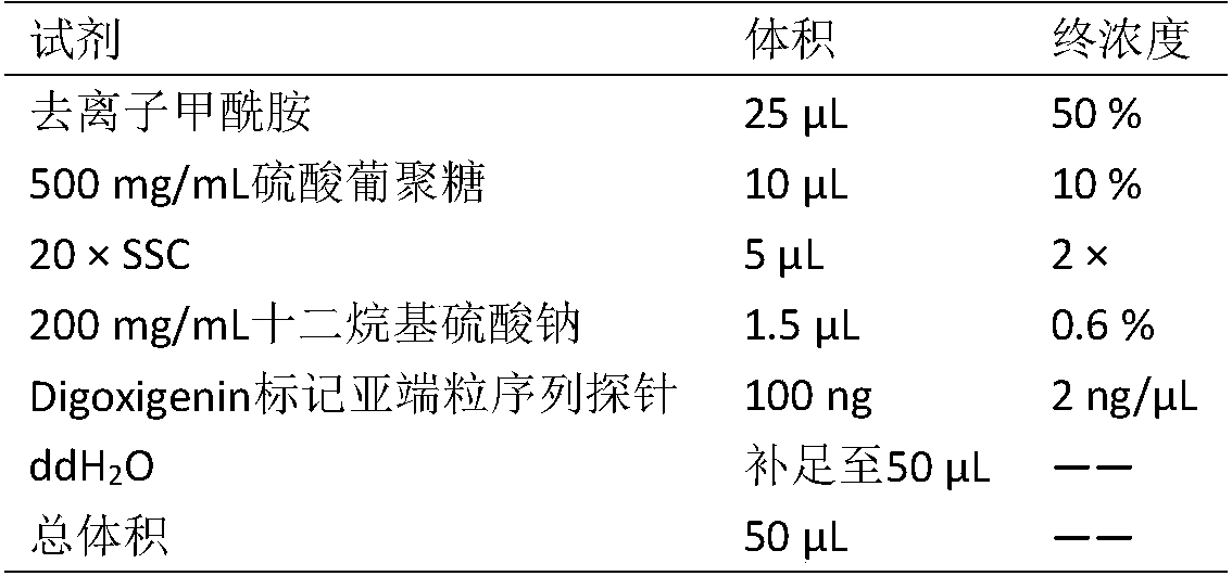 Method for identifying erianthus arundinaceus consanguinity in sugarcane by sub telomere sequence