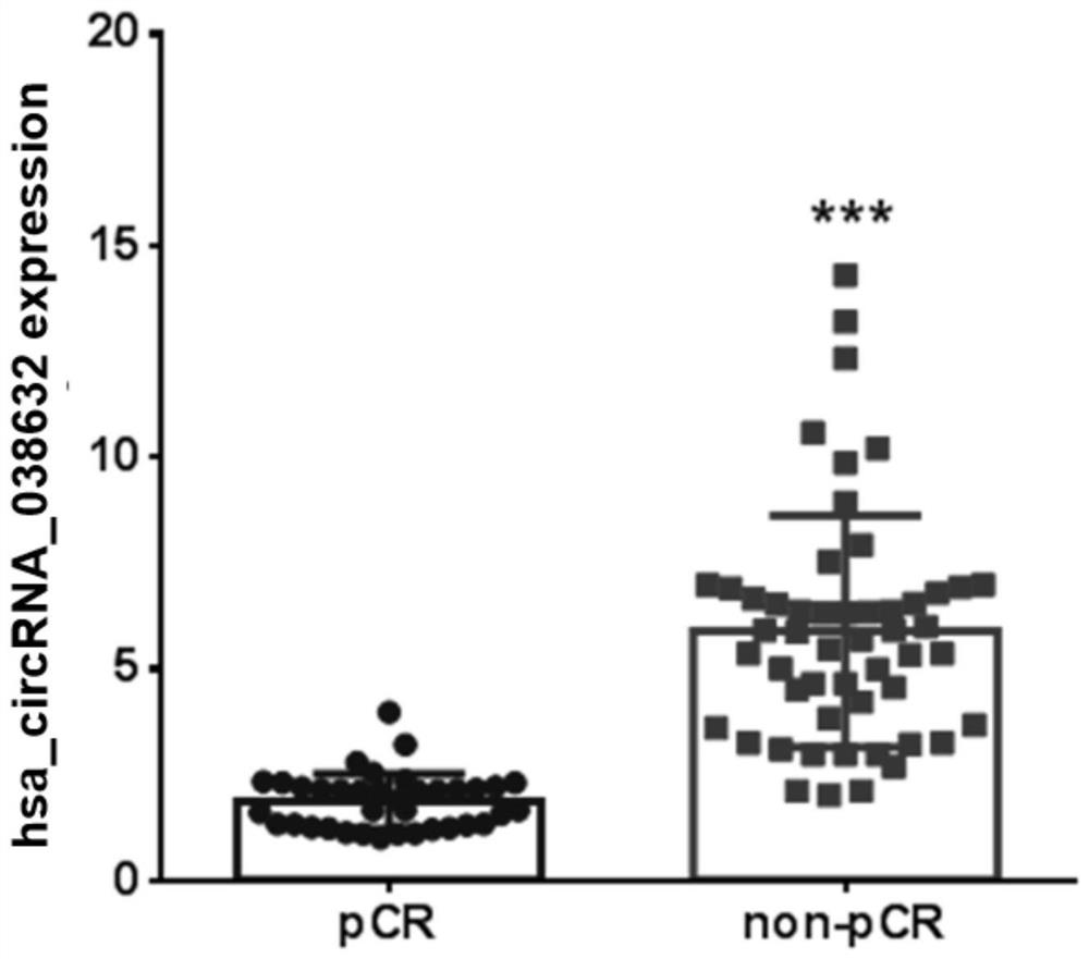 A circular RNA detection kit predicts responsiveness to neoadjuvant chemotherapy in triple-negative breast cancer