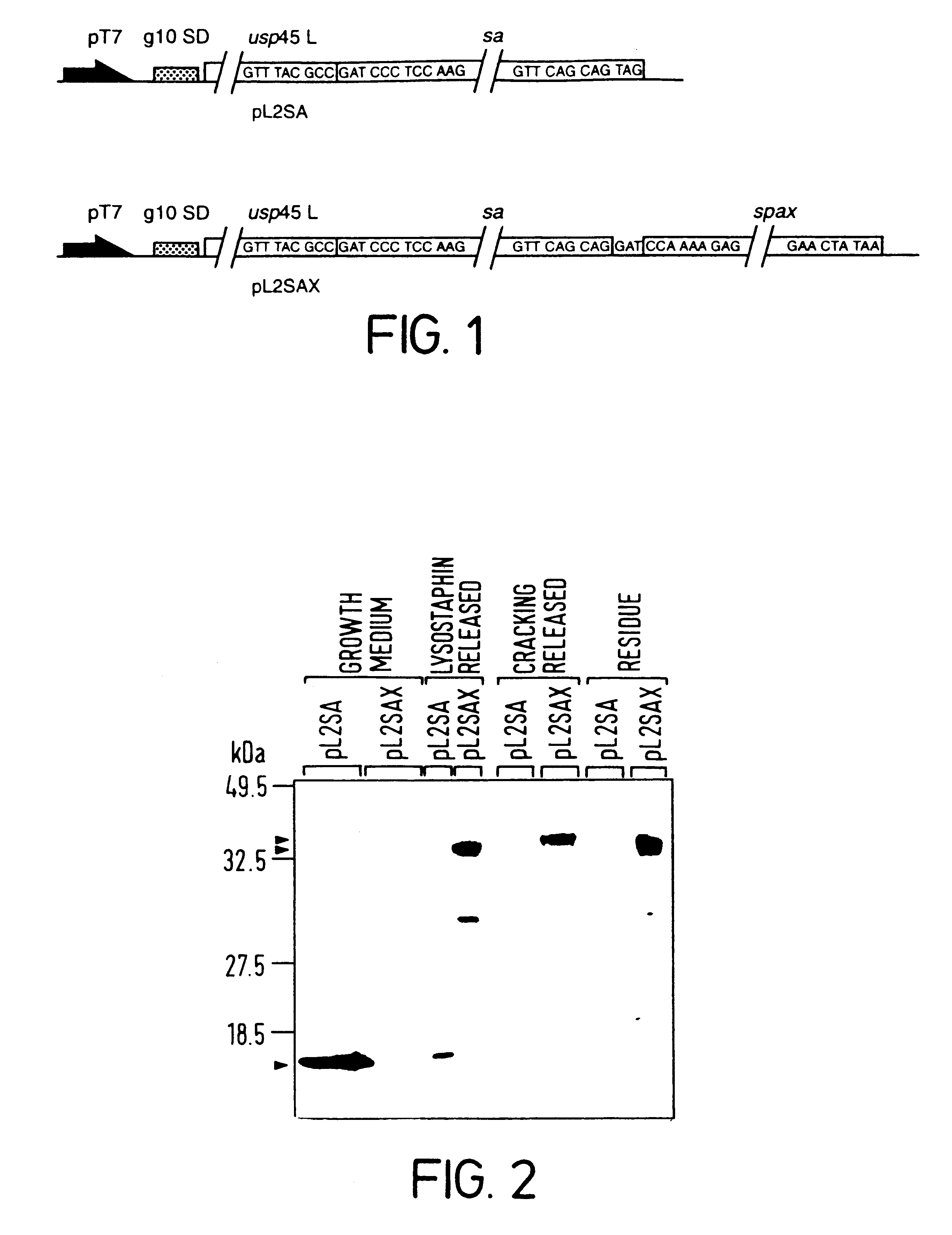 Materials and methods relating to the attachment and display of substances on cell surfaces