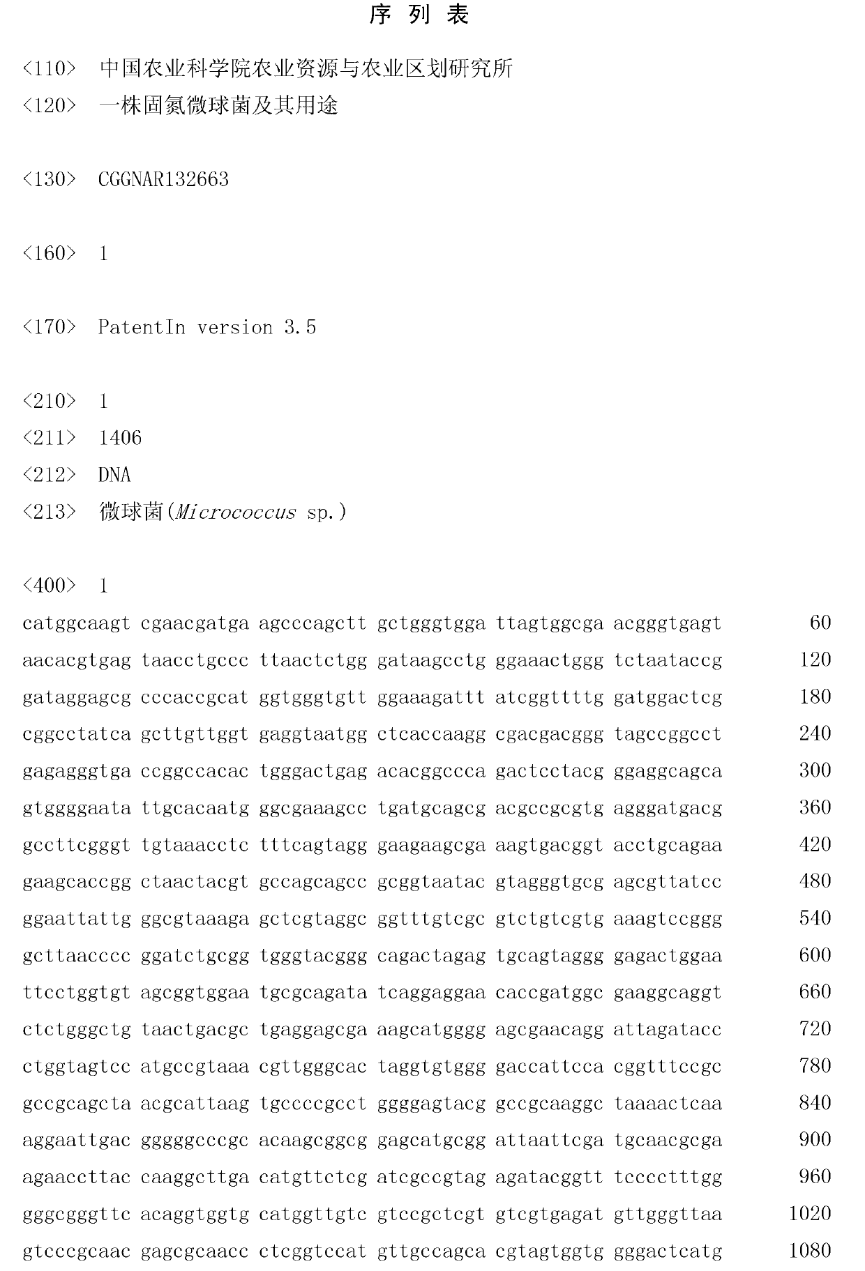 Nitrogen fixing micrococcus and application thereof