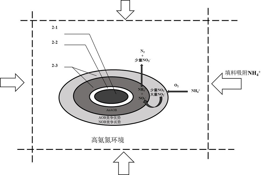 Synchronous nitrosation-Anammox device for low-temperature low-ammonia-nitrogen sewage based on magnetic induction heat effect and application thereof