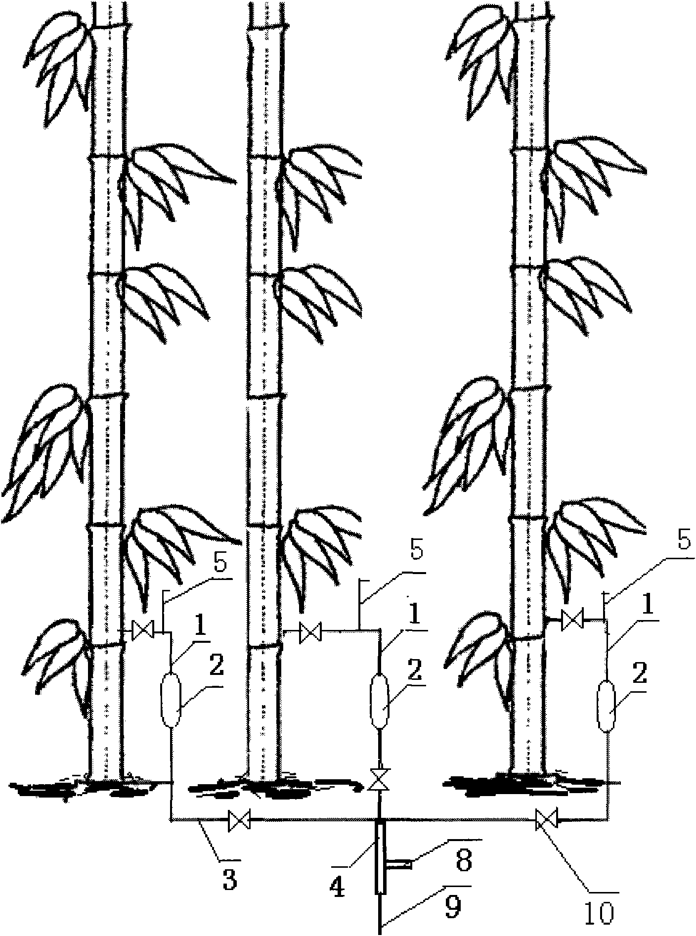 Method and device for continuously extracting natural bamboo juice