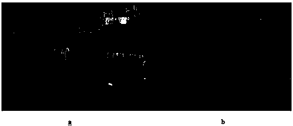 Method for automatically enhancing contrast ratio and chrominance of movie