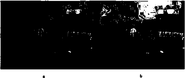 Method for automatically enhancing contrast ratio and chrominance of movie