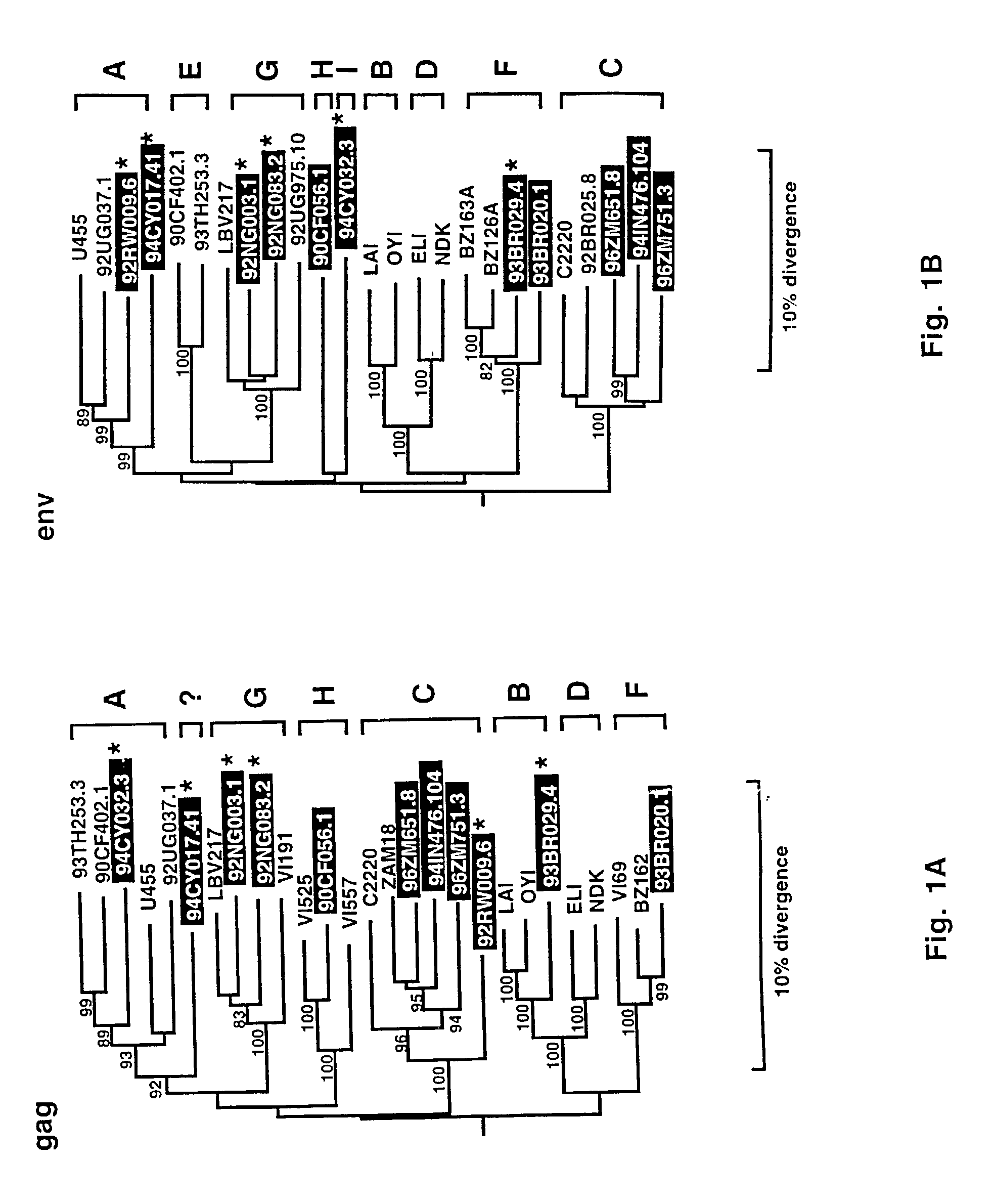 Reference clones and sequences for non-subtype B isolates of human immunodeficiency virus type 1