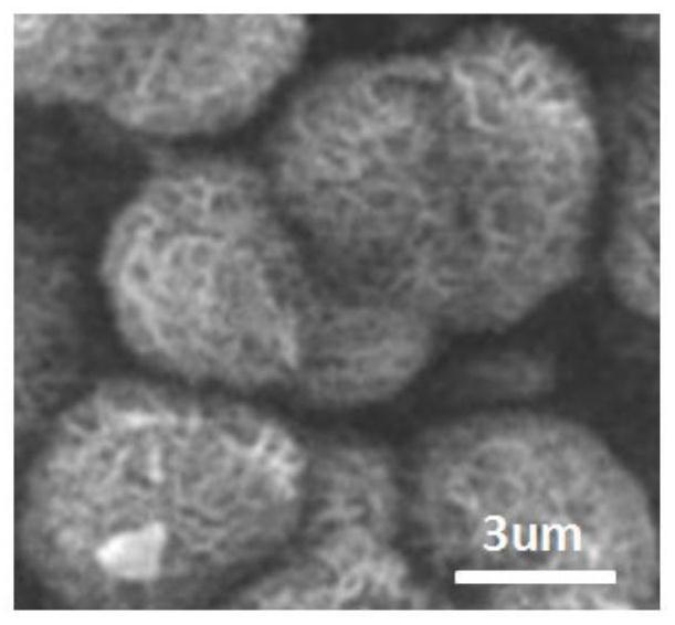 Preparation and application of heavy metal polluted soil conditioner