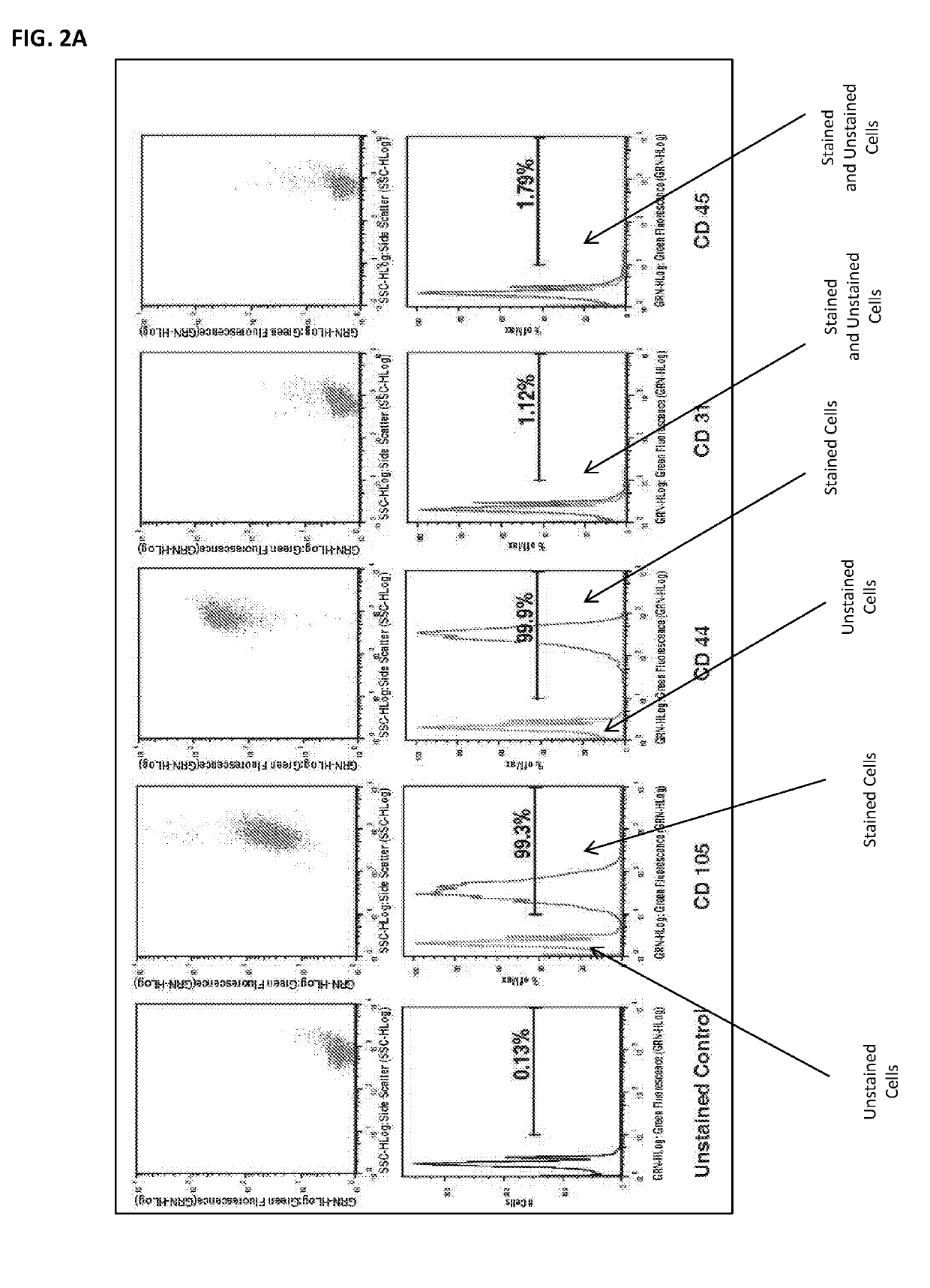 Compositions and methods for the quality control of stem cell preparations