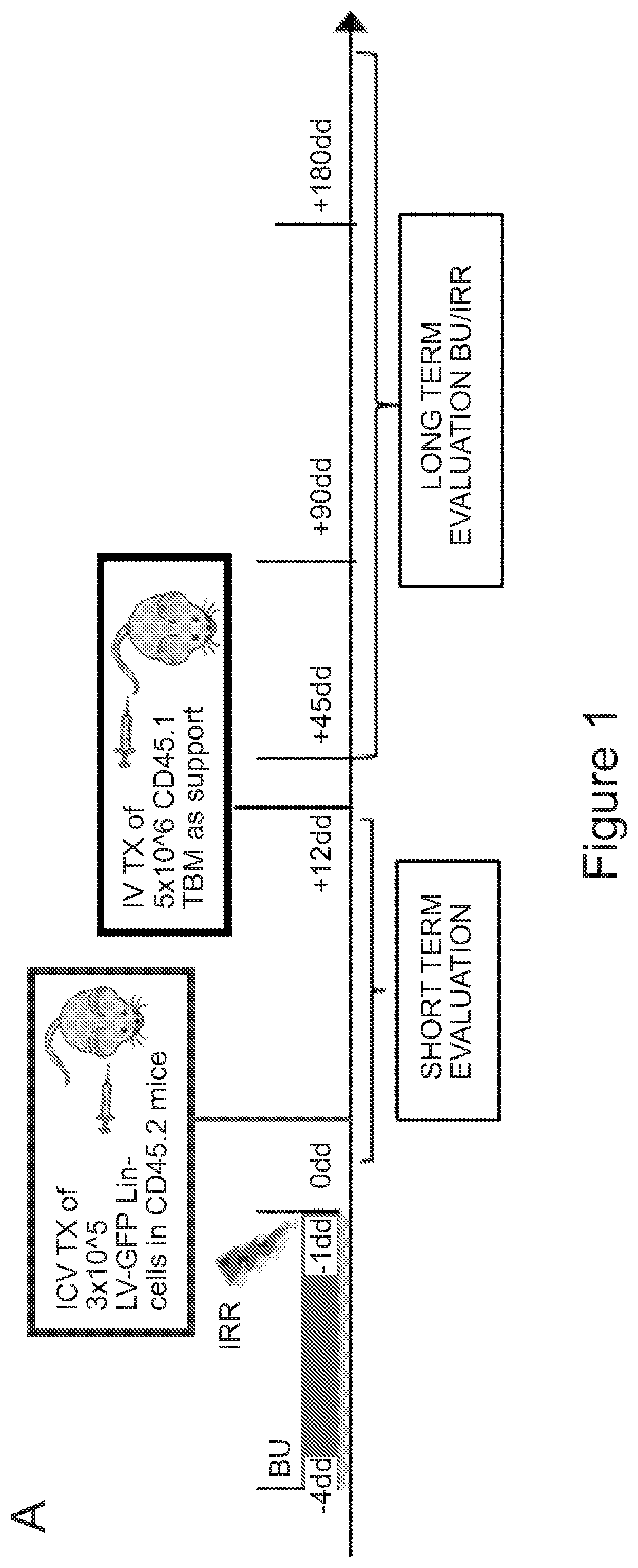Compositions and methods for treating diseases and disorders of the central nervous system