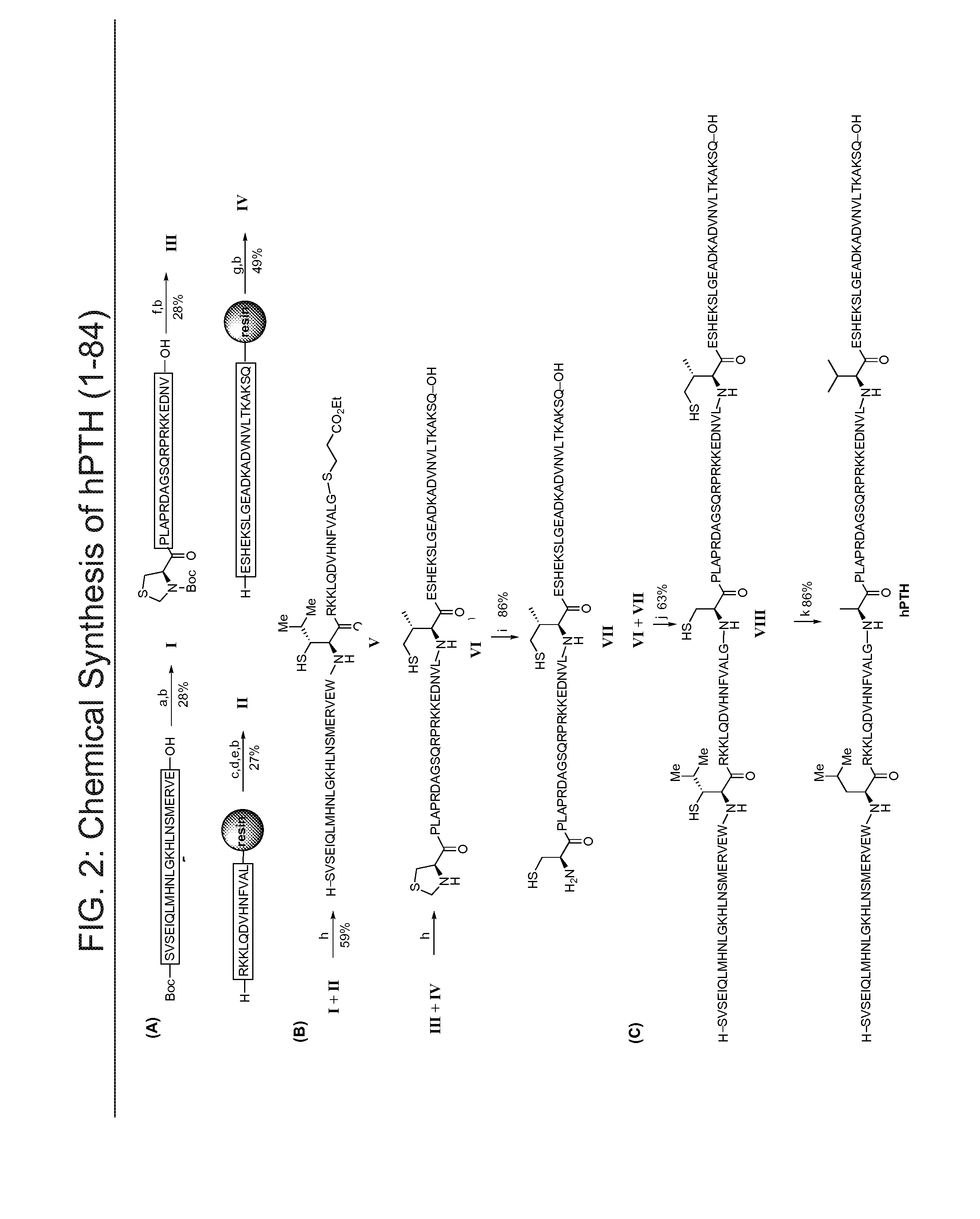 Parathyroid hormone analogs, compositions and uses thereof
