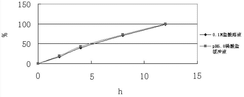 Slow release composition containing levomilnacipran and preparation method of composition