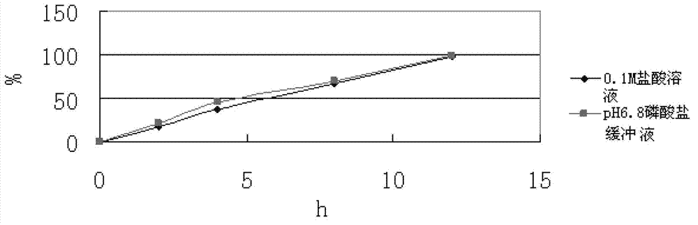 Slow release composition containing levomilnacipran and preparation method of composition