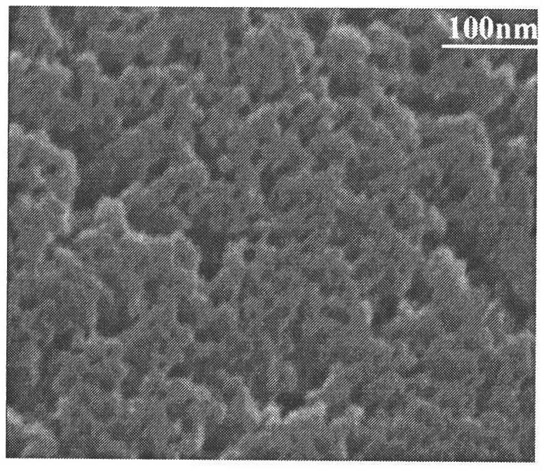 Preparation method of temperature-sensitive macroporous acrylamide/N-isopropyl acrylamide composite microsphere