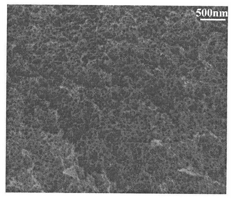 Preparation method of temperature-sensitive macroporous acrylamide/N-isopropyl acrylamide composite microsphere