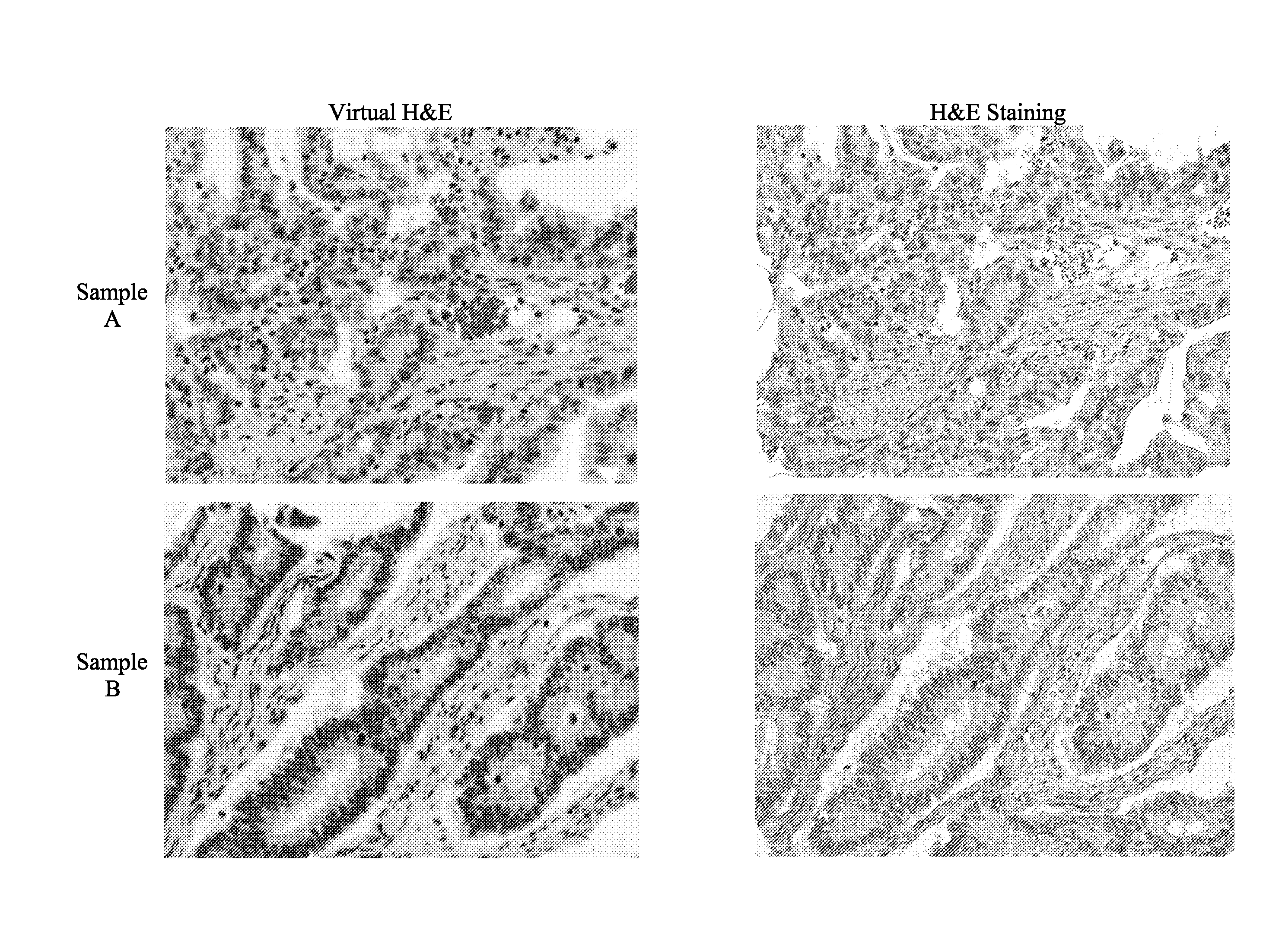 System and methods for generating a brightfield image using fluorescent images