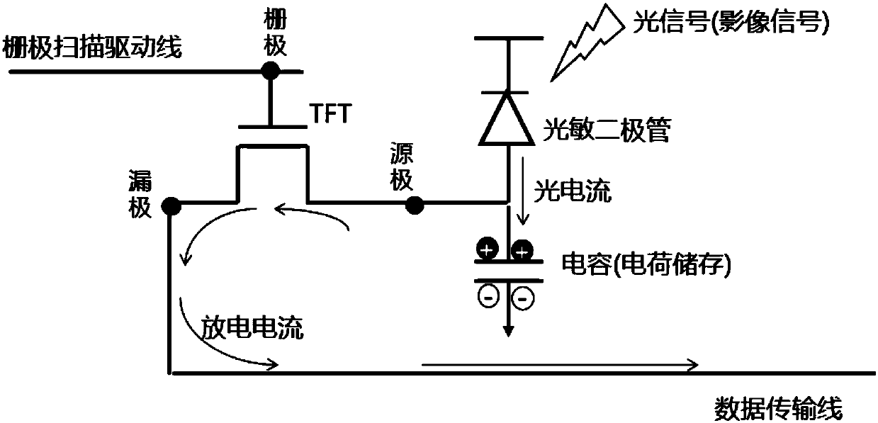 Photodetection thin film, photodetector and photodetection device